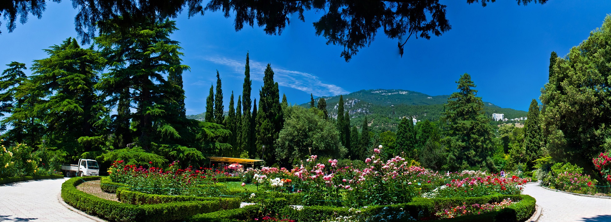 Никитский ботанический сад панорама